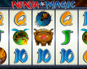 Ninja Magic Spielautomat